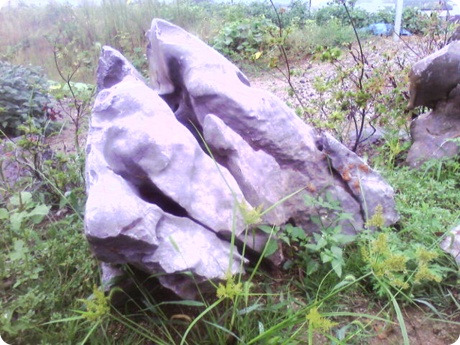 정민조경 이미지