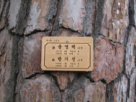 수림장 이미지